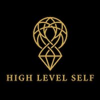 HighLevelSelf